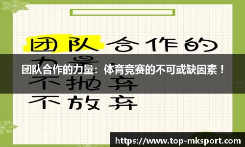 mk体育官网